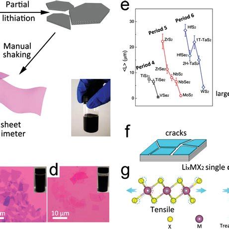 The Effect Of Intercalation Chemistry In Producing D Tmd Nanosheets