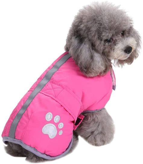 Best Dog Coat 2024 Review Top Winter Jacket For Dogs Buying Guide