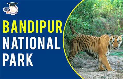 Bandipur National Park, History, Location, Flora and Fauna