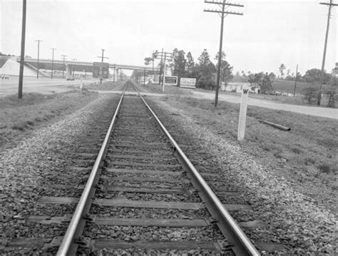 Florida Memory • View Of Train Tracks Jacksonville Florida