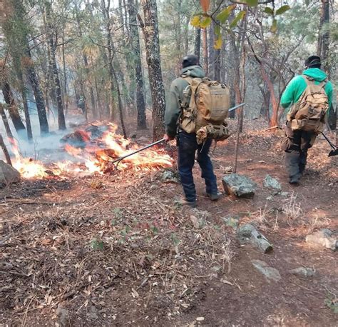 Más de 200 brigadistas combaten los incendios forestales en la Sierra