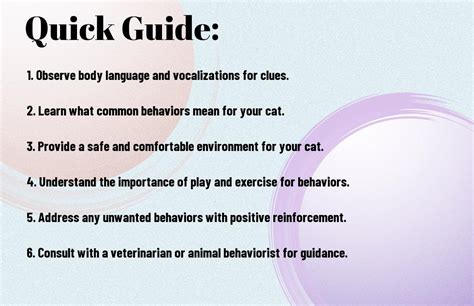 Understanding Your Cat S Behavior The Ultimate Guide