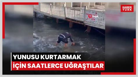 Yunusu kurtarmak için saatlerce uğraştılar Video