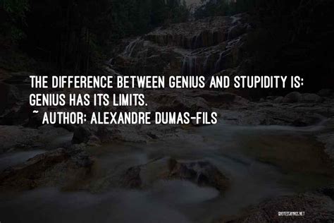 Top 11 Difference Between Stupidity And Genius Quotes Sayings