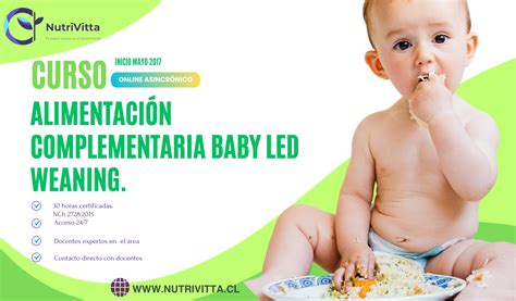 Curso alimentación complementaria Baby Led Weaning Cursos Online de