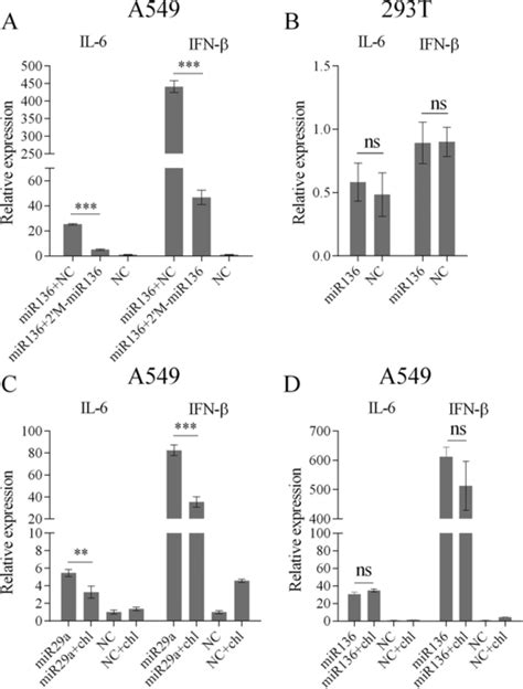 R 136 Activates Innate Immunity Independent Of TLRs Pathway A A549