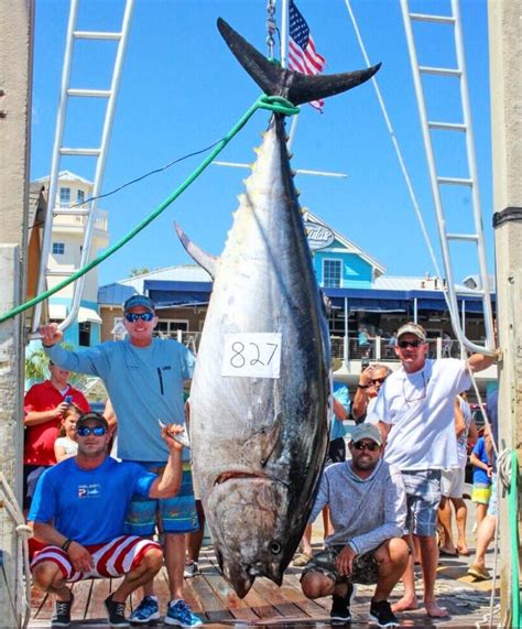 Massive bluefin tuna is a new Florida fishing record | For The Win