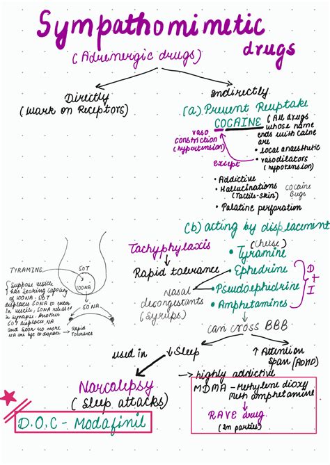 Solution Adrenergic System Pharmacology Studypool