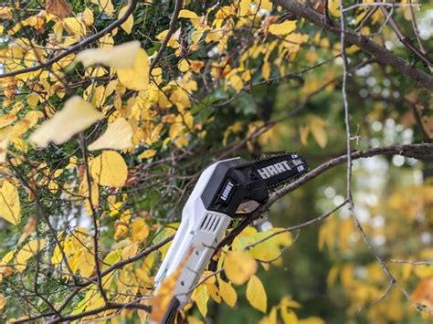 Hart 20v Cordless Pole Saw And Hedge Trimmer Review Tool Box Buzz
