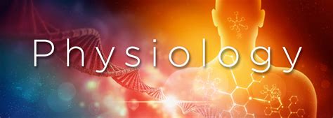 Complete Guide to the PhD Physiology Program in Pakistan