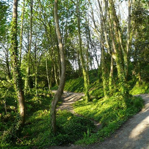 Bonchurch Landslip Ce Qu Il Faut Savoir Pour Votre Visite 2023