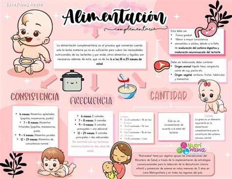 Alimentaci N Complementaria Estefanny Giovana Roque Utrilla Udocz