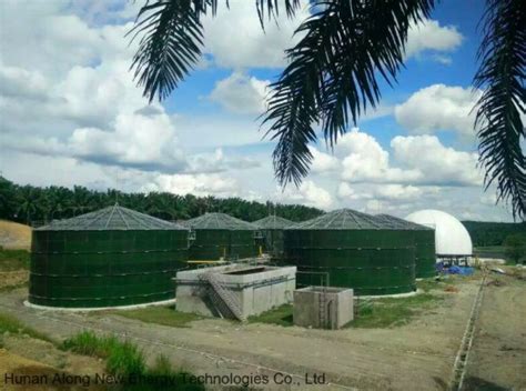 Biogas Anaerobic Digester Cstr Reactor Plant Design Construction