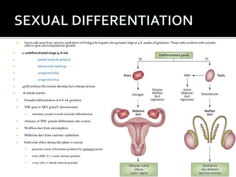 Approach To A Case Of Ambiguous Genitalia