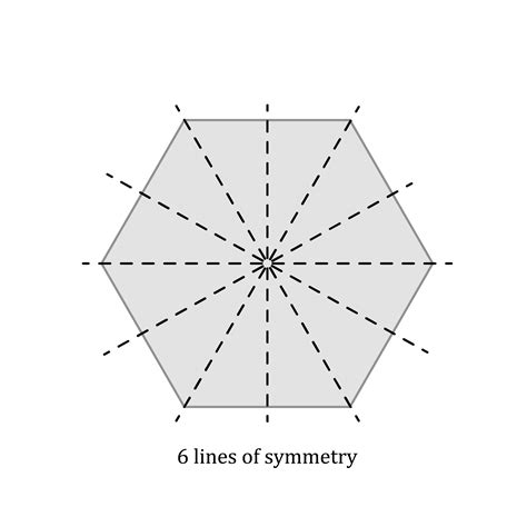 Lines Of Symmetry In 2d Shapes Maths Explanation And Exercises Evulpo