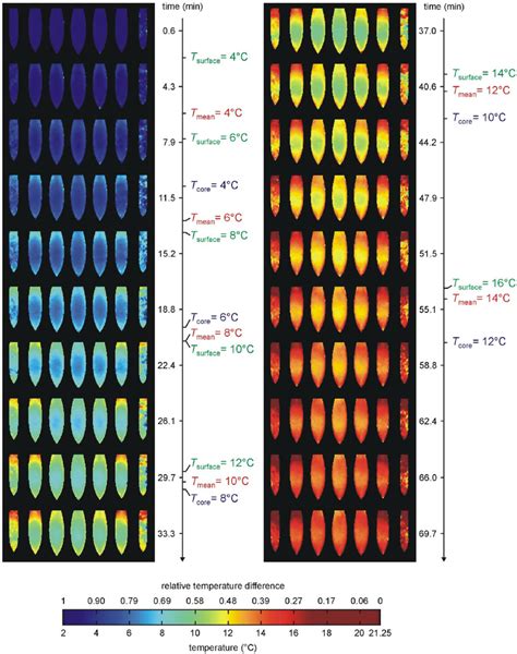 Typical Rbc Warm Up Temperature Distribution Color Encoded