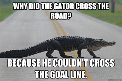 Popular Florida football memes from recent years