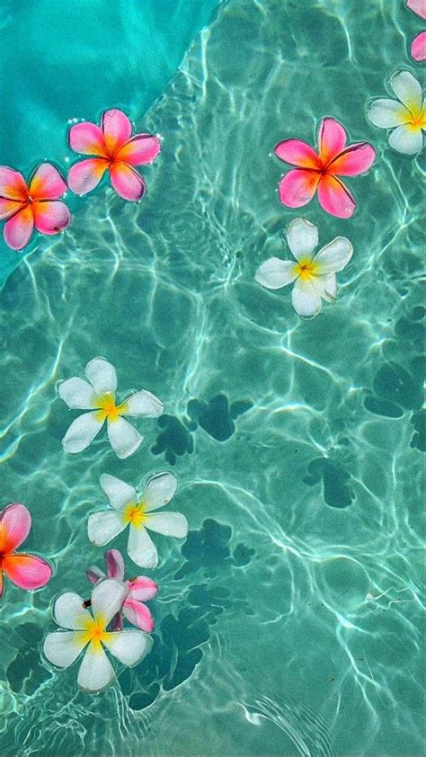 Hawaiian Flower Summer Wallpaper Cute Summer Wallpapers Wallpaper