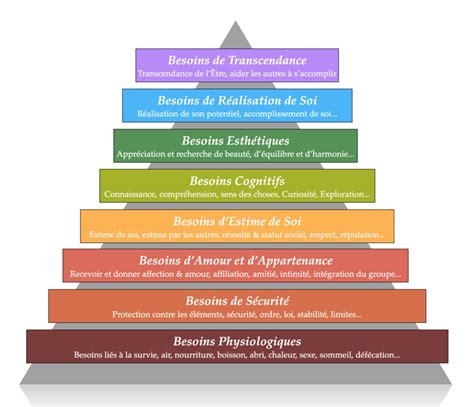 Pyramide De Maslow Pyramide Maslow Pyramide Des Besoins De Maslow