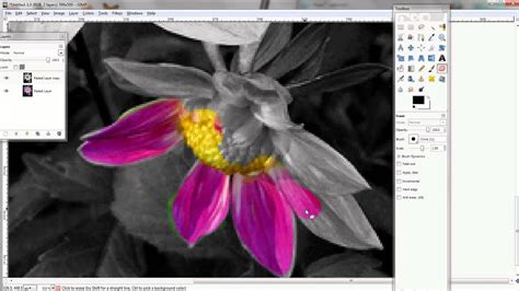 Selective Coloring In Gimp Easy Youtube