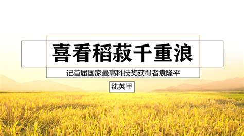 4喜看稻菽千层浪 共34张PPT 21世纪教育网