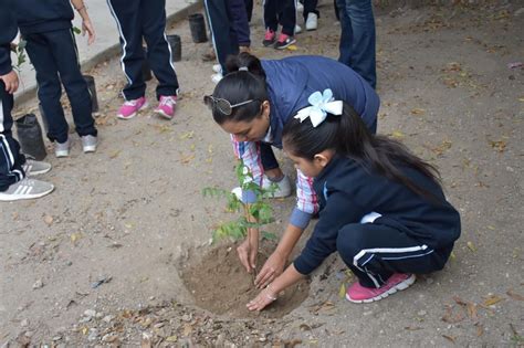 Reforesta municipio área verde en escuela primaria