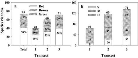 Macroalgal Species Richness From Transect 1 To Transect 3 At Luhuitou