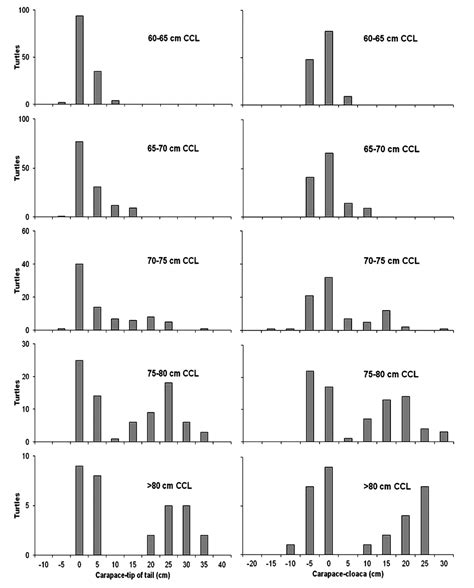 Adult Sex Ratios Of Loggerhead Sea Turtles Caretta Caretta In Two