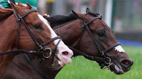 Preakness Stakes Predictions Odds Date Contenders Expert Who