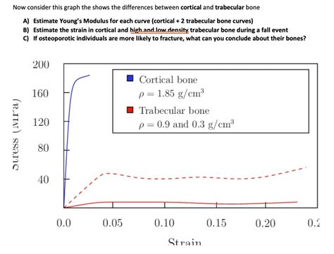 Solved Now Consider This Graph That Shows The Differences Between