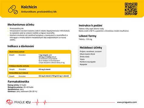 Prague ICU