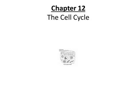 Pdf Powerpoint Presentation Chapter 12 The Cell Cycle · Powerpoint