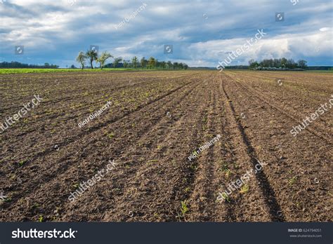 531 Texas Corn Field Images Stock Photos And Vectors Shutterstock