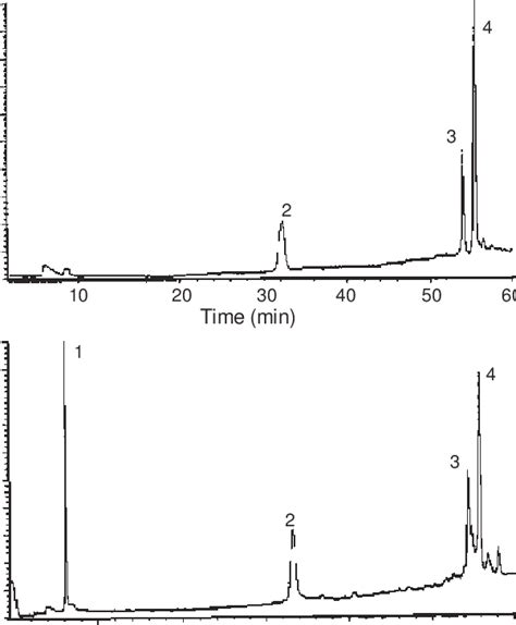 A High Performance Liquid Chromatography Hplc Chromatogram Of