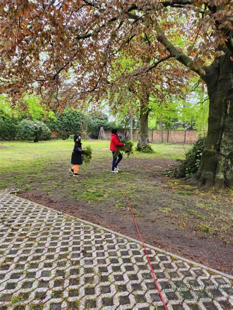 Clean Saturday At The Embassy Of Cameroon In Berlin Cameroon