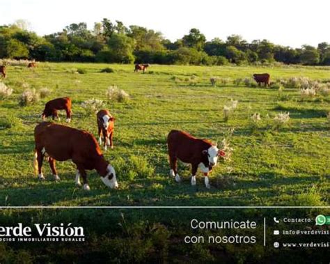 Campo Ganadero de 73 Has en Venta Chaco Villa Berthet 73 hectáreas