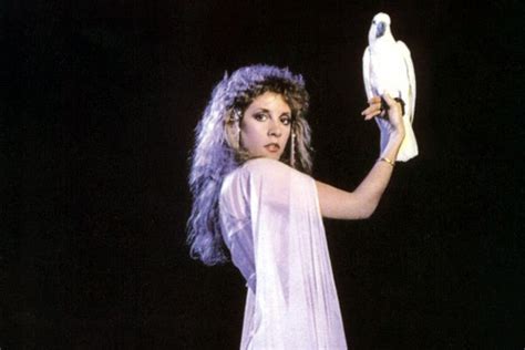 White Winged Dove Stevie Nicks