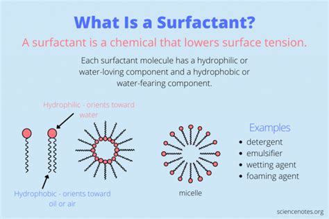 What Is A Surfactant Acme