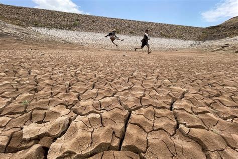 戰火 氣候變遷 烏克蘭、加薩面臨生態滅絕 世界鏡頭 聯合報