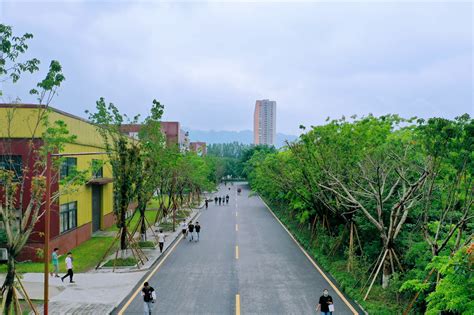 重庆交通职业学院 校园大道