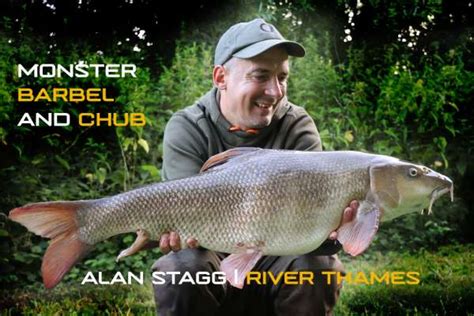 Carp Fishing The Multichod Rig Video Gardner Tackle