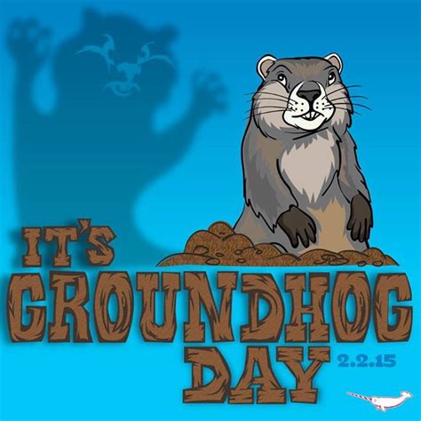 Groundhog Day is February 2. | Animal facts, Groundhog day, Groundhog