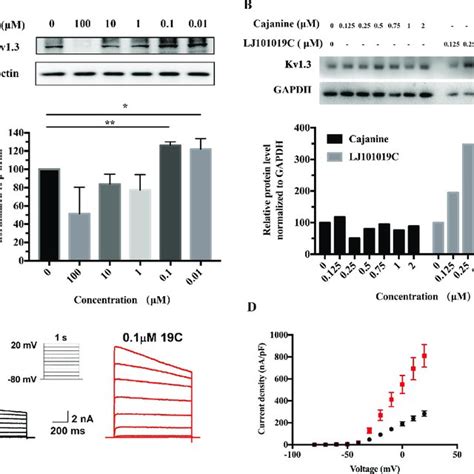 Cell Cycle Of NK92 Cells Treated With LJ101019C Or Cajanine FACS