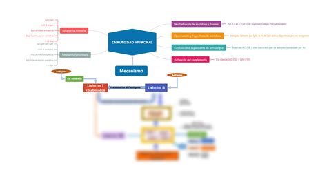 SOLUTION Grupo E Mapa Inmunidad Humoral Y Celular Studypool