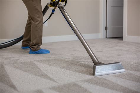 Steam Carpet Cleaner Vs Carpet Shampooer