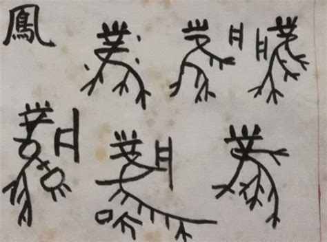 比甲骨文更早的文字 距今已有九千年 中华历史即将改写甲骨文文字考古新浪新闻