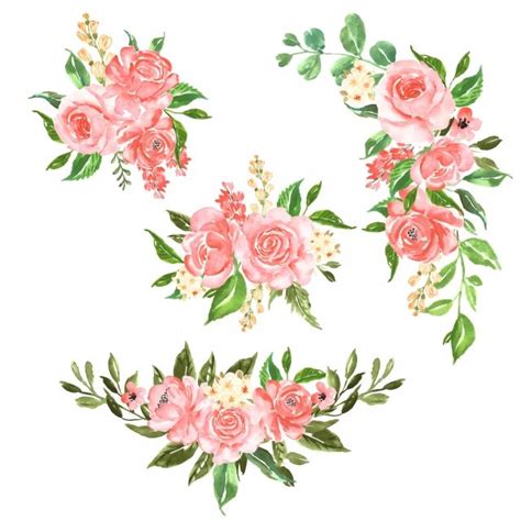 Conjunto De Lindo Arranjo De Flores Em Aquarela Rosa Rosa Png Rosas