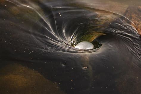 The Coriolis Effect Stock Photo Image Of River Water 262141104