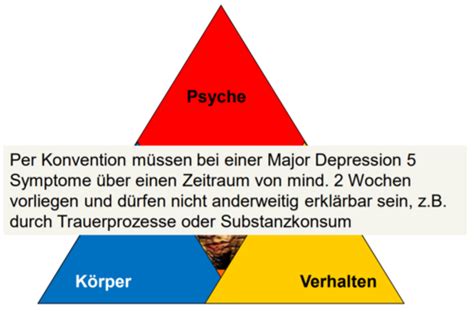 Affektive St Rungen Flashcards Quizlet