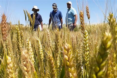 “la Agroecología Es Una Forma Diferente De Pensar La Ruralidad Con